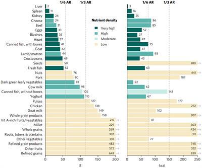 Priority Micronutrient Density of Foods for Complementary Feeding of Young Children (6–23 Months) in South and Southeast Asia